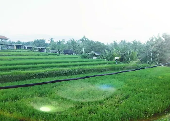 Indah * ウブド